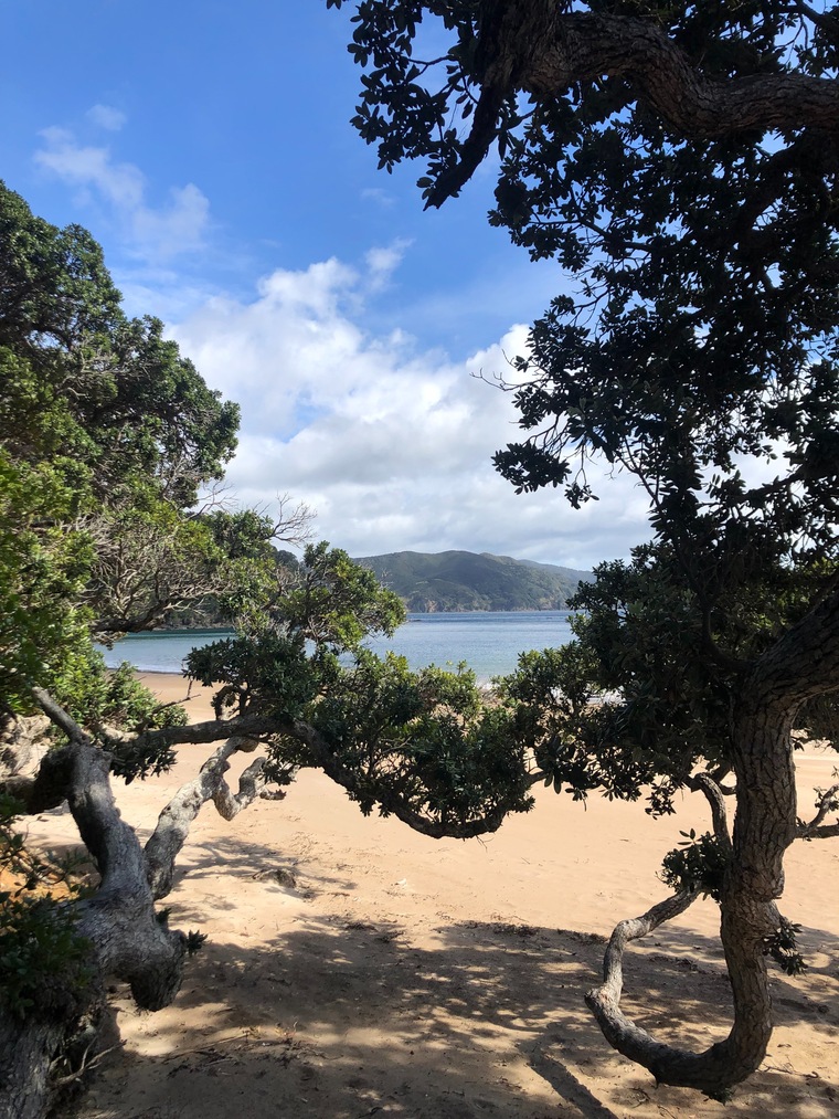 Summer cover image