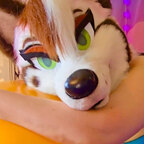 Sundae Huskie 🍨🐾 avatar