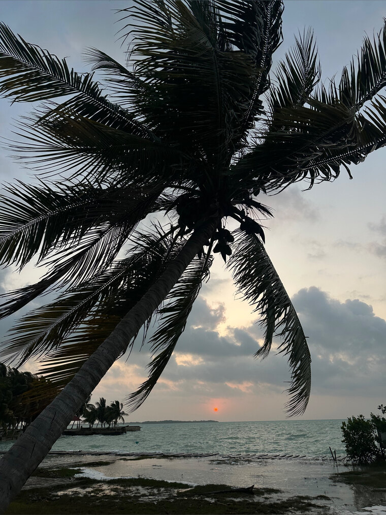 Sunegrooo cover image