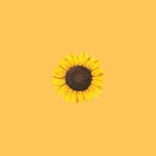 Sunflower avatar