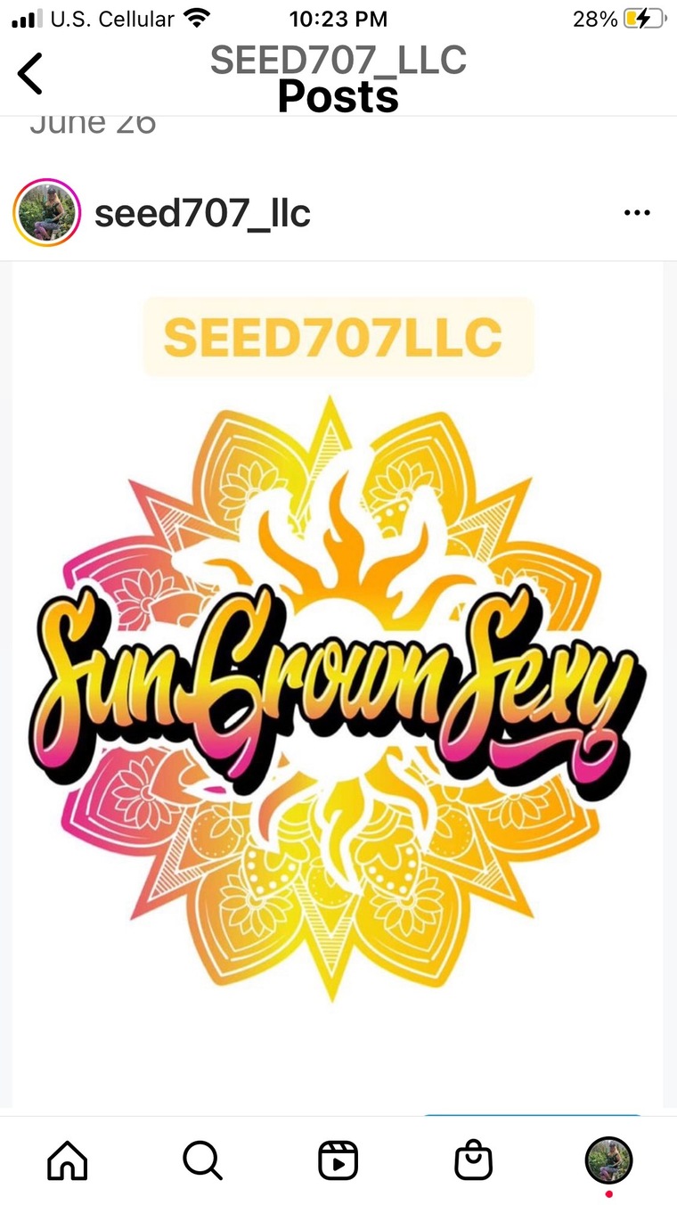 SUNGROWNSEXY cover image