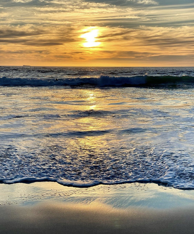 Sun kissed blondie cover image