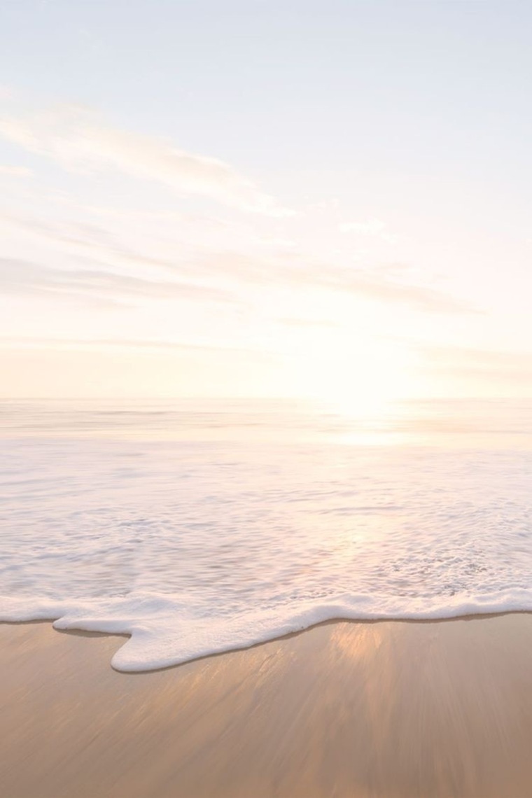 ✨Tropical Temptress | Sunkissed Siren✨ banner image