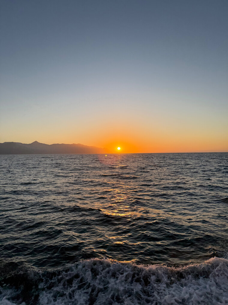 Sun-loved Soles ☀️ cover image
