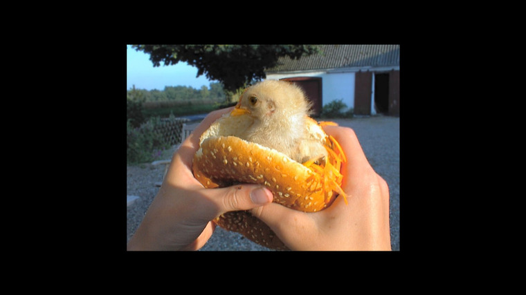 Sunny Burger banner image