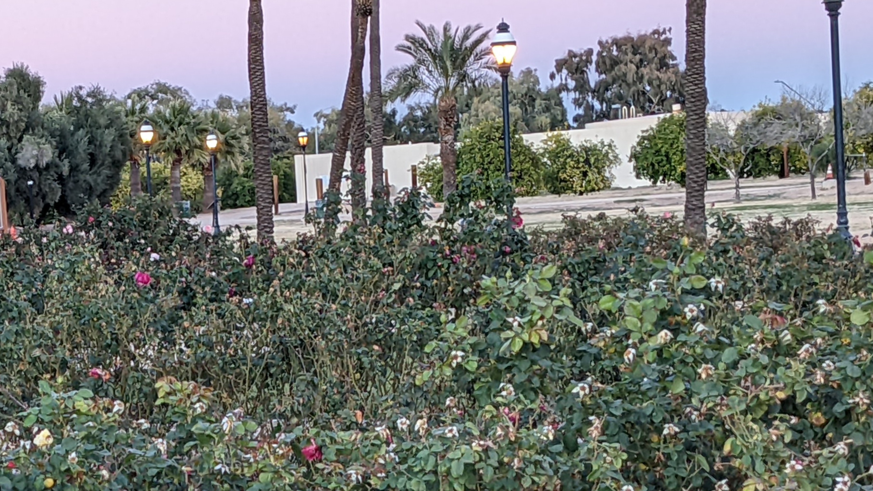 Sunlion9194 banner image