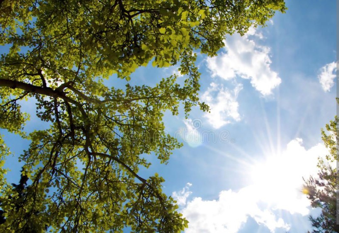 Sunny Daze banner image
