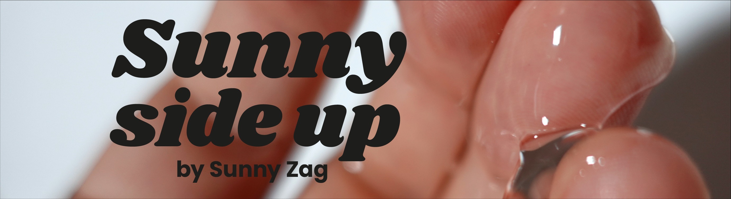 Sunny Zag banner image