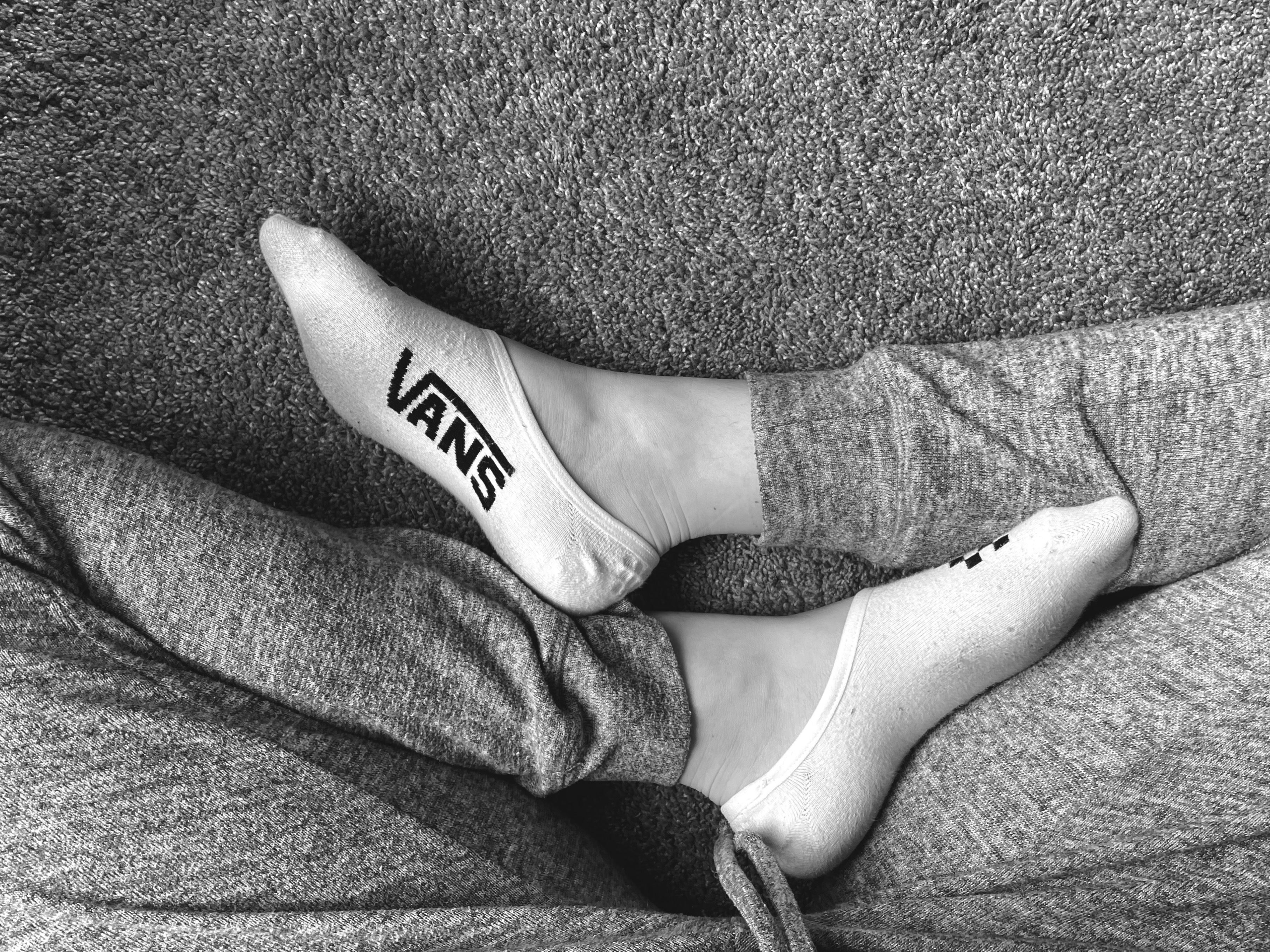 sunshinetoes banner image