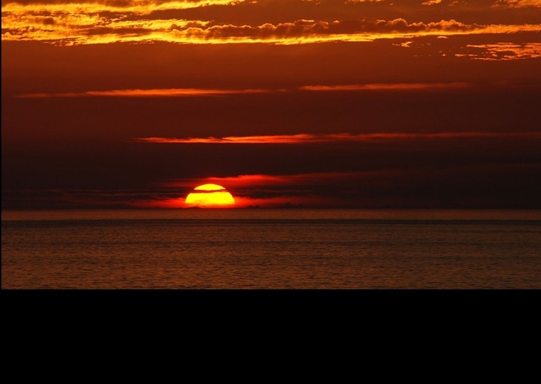 Demi_Sunshine_Wife banner image