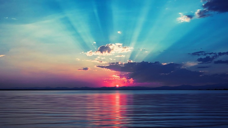 Sunshine Kisses banner image