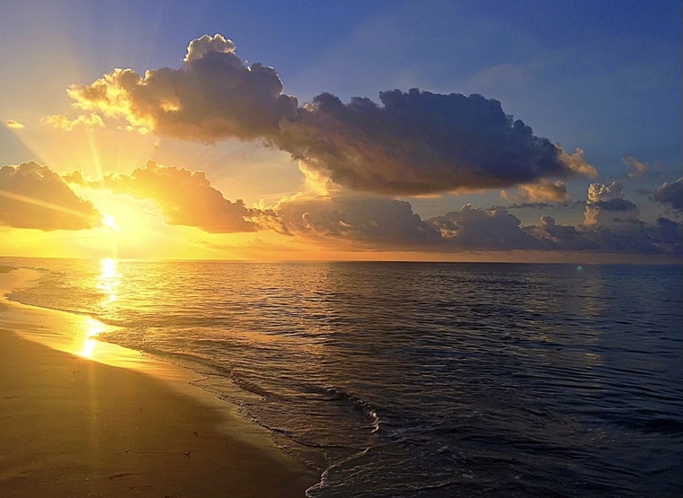 Allie Sunshine banner image
