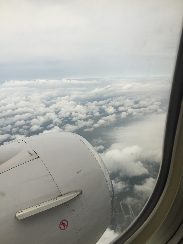 Tld711 banner image
