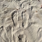Super Feet avatar
