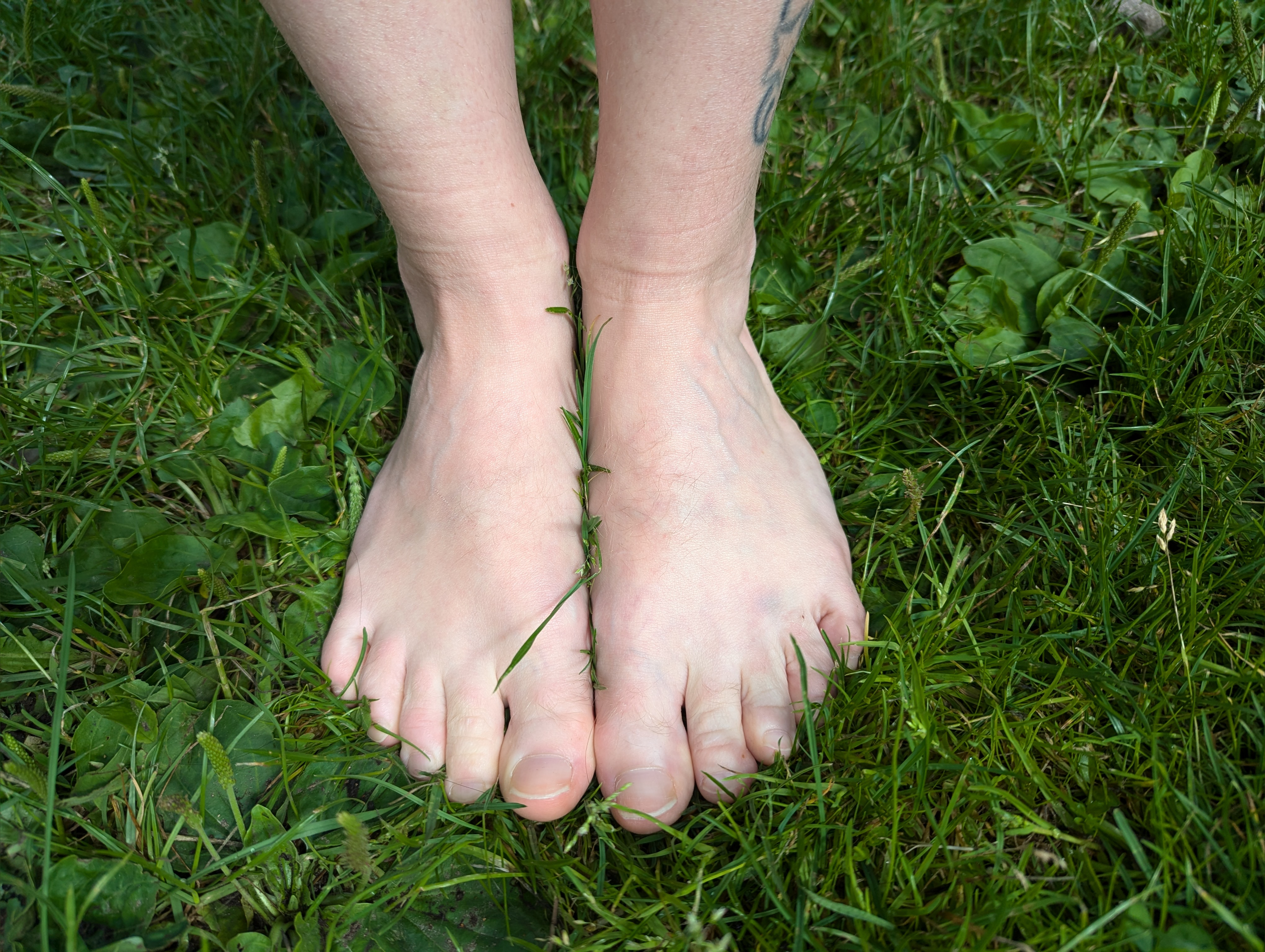 Tinyfeet banner image