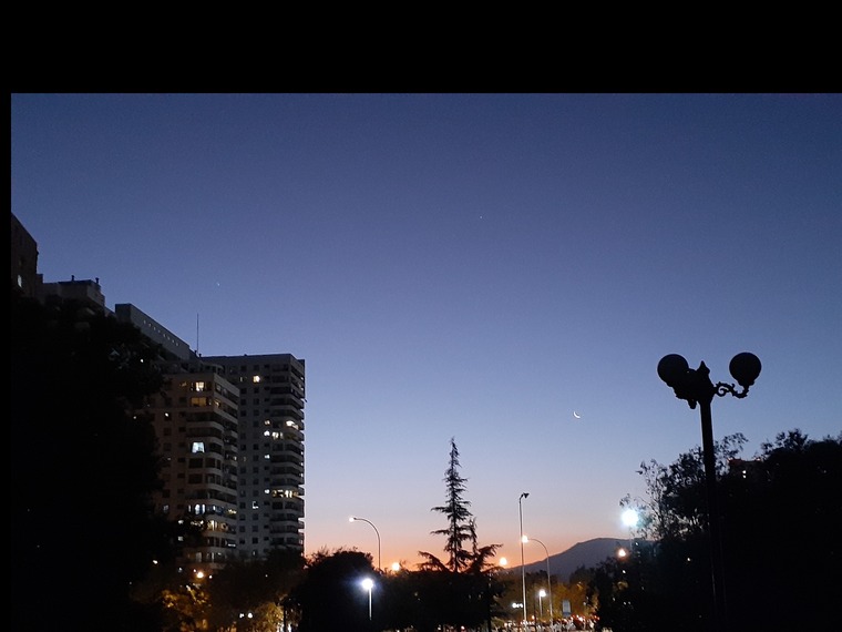Catita Antonia cover image