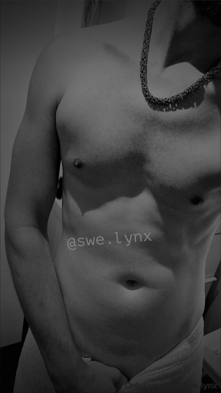 ✨️ SWE.LYNX ✨️ cover image