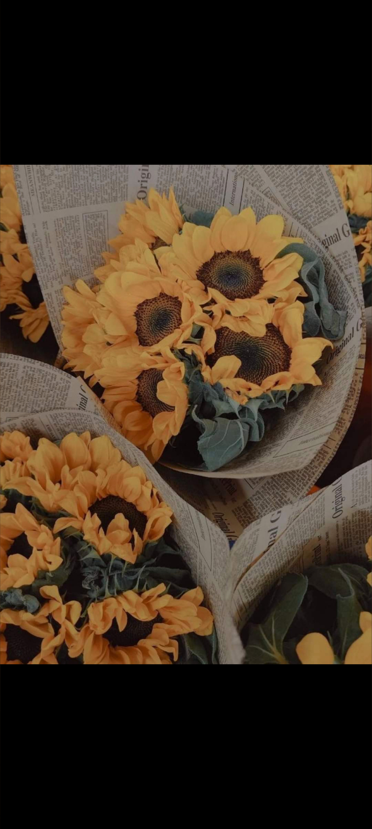 Peaches banner image