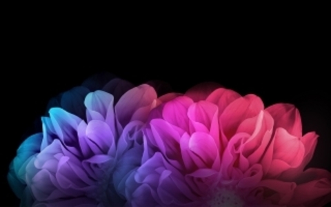 Sydnie cover image
