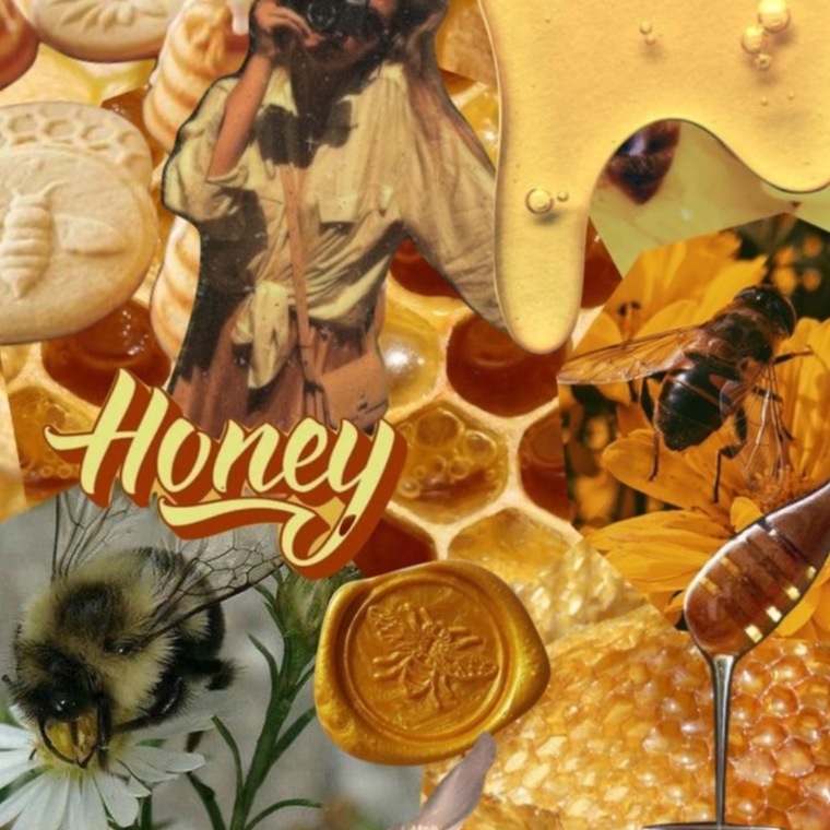 Honey cover image