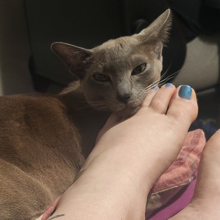 All about feet cover image