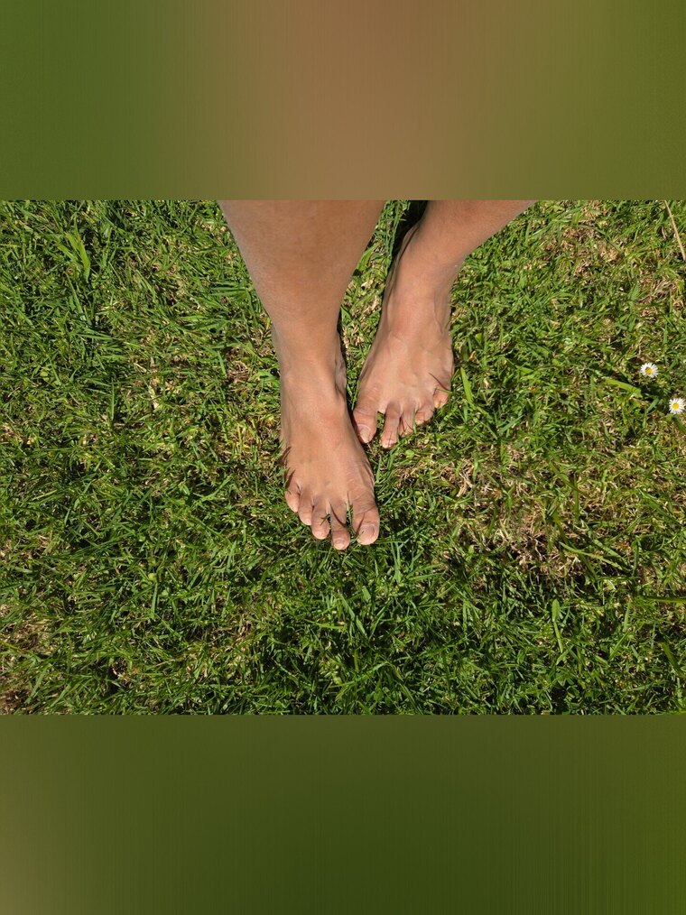 Vanessa banner image