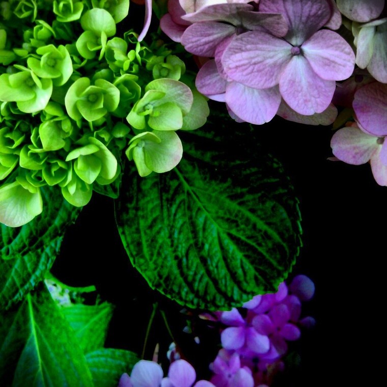 Stacie Lee banner image