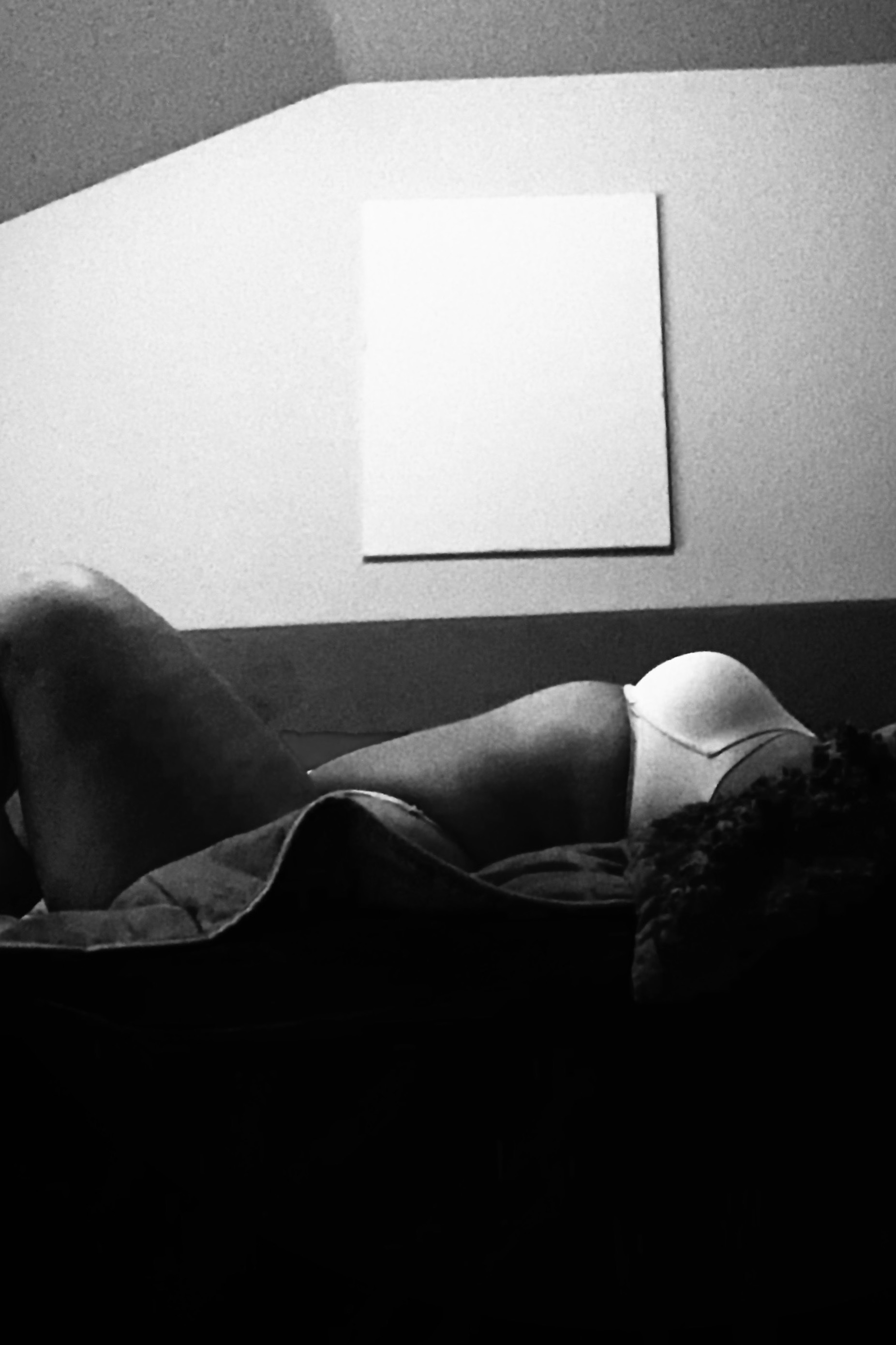 Alice Addams banner image
