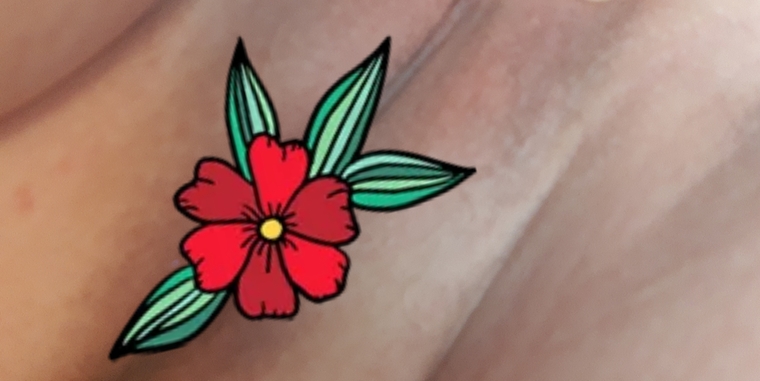 Bootylicious cover image