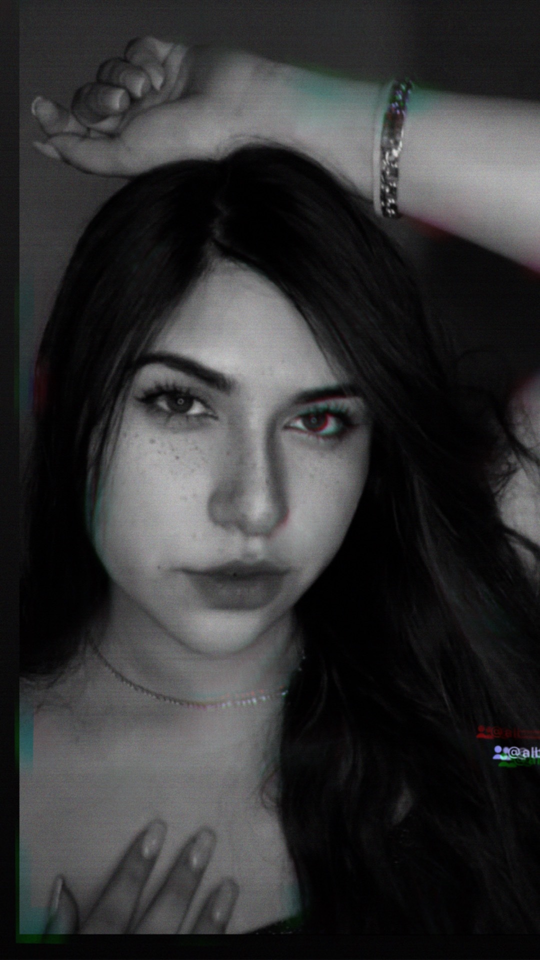 Sweet Border Latina banner image
