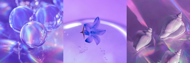 Sweetcheeks623 banner image