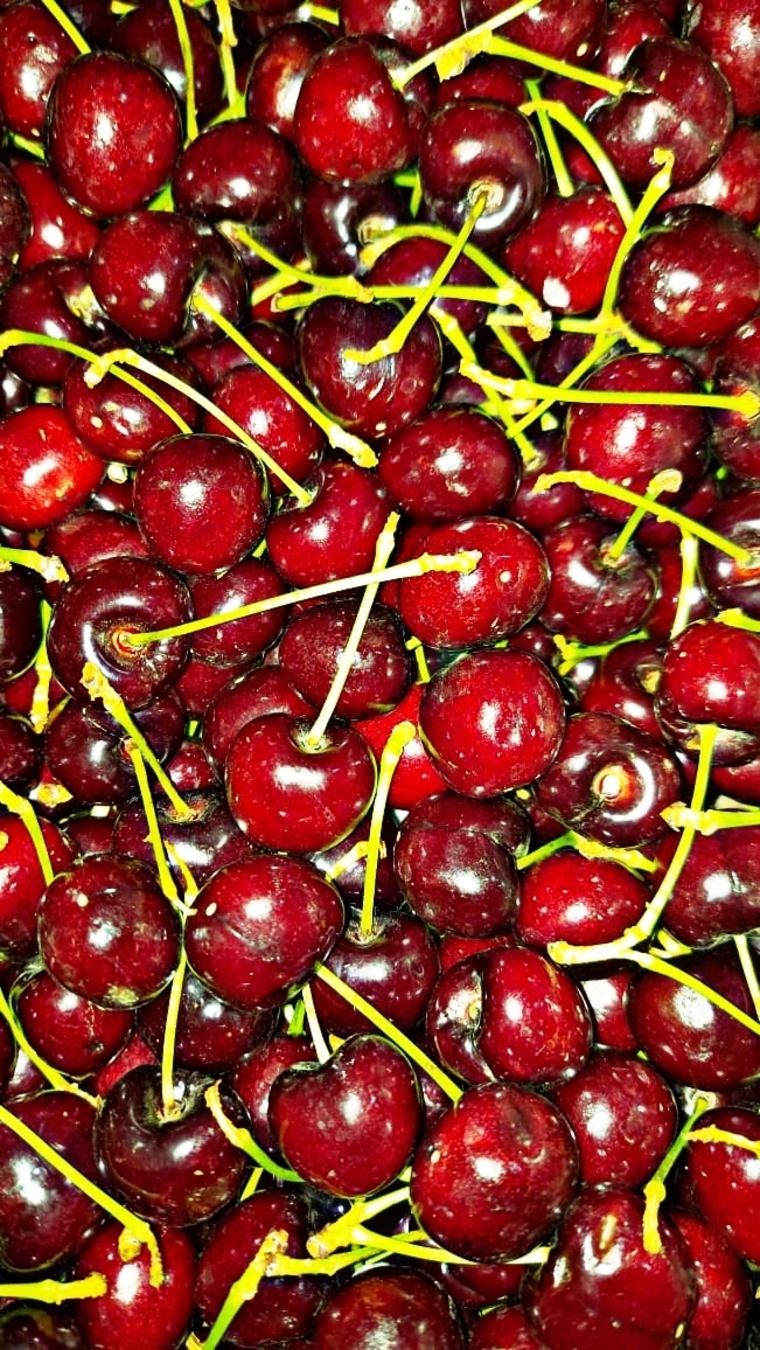 CherryLips banner image