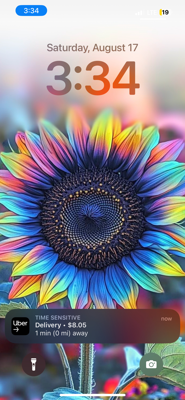 loveLeiii cover image