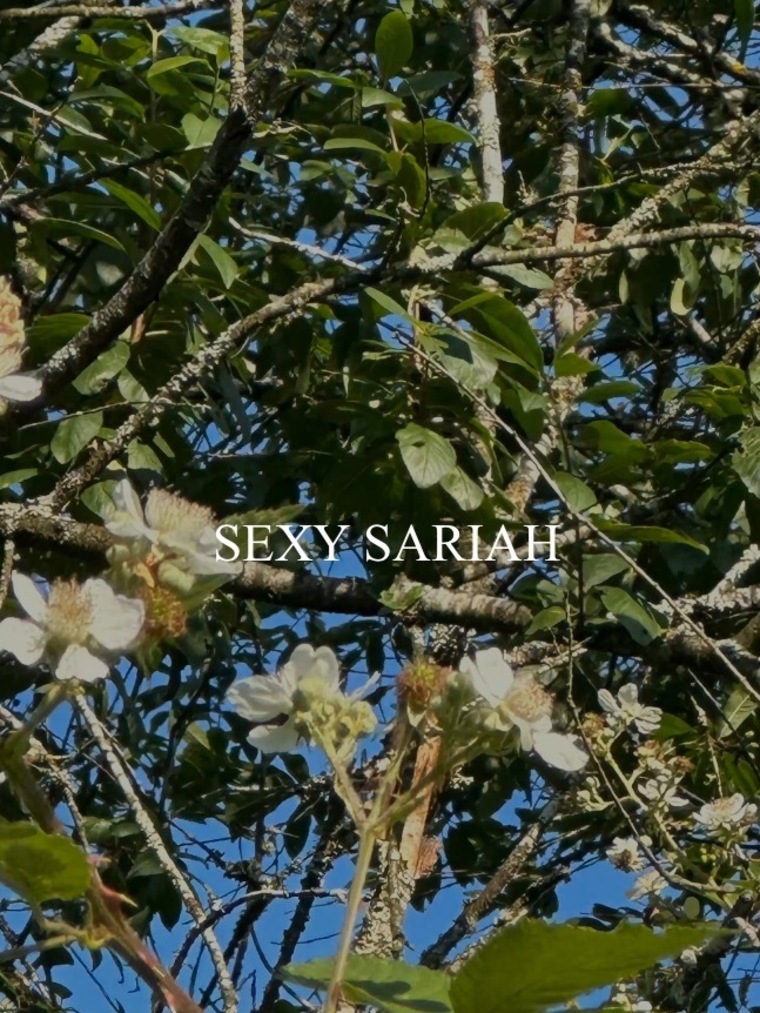 Sariah Sweet cover image