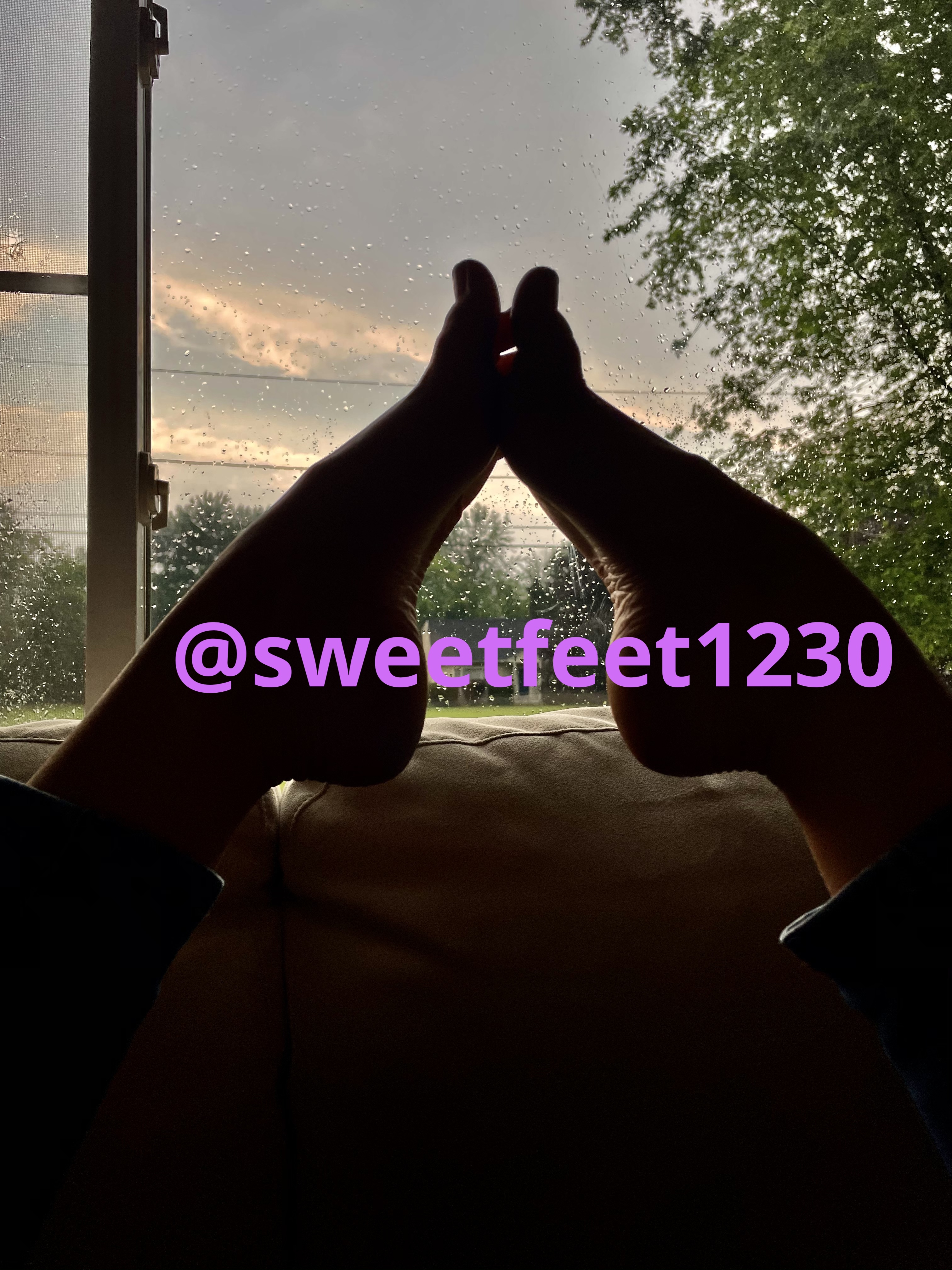 Sweet Feet banner image