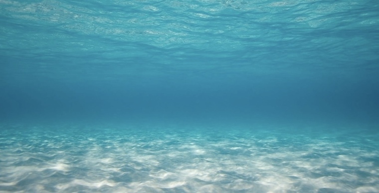 Sweetfeet banner image