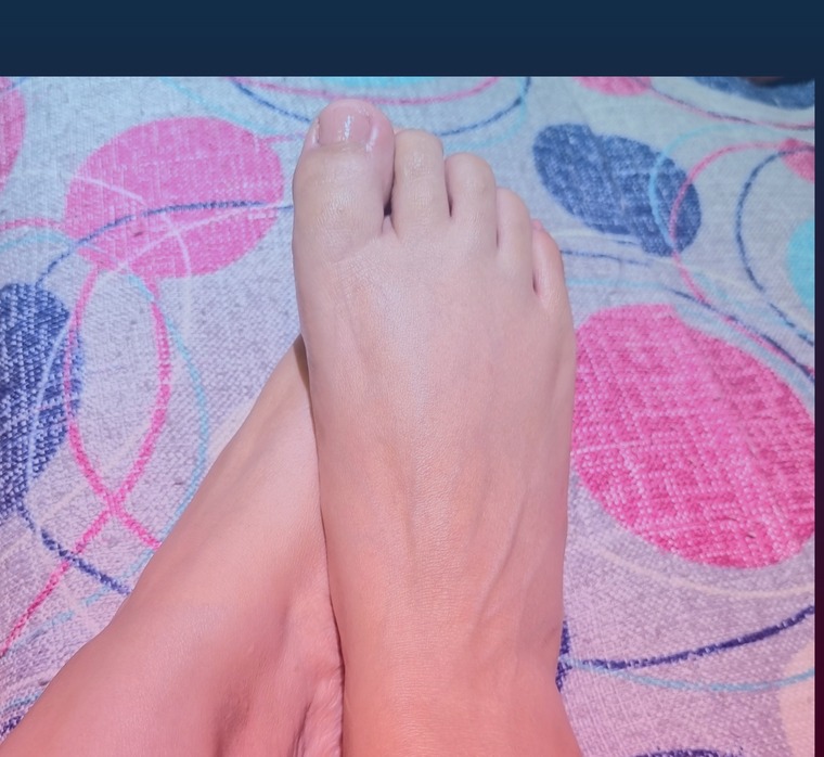 Sweet pie banner image