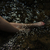 Sweetfeet avatar