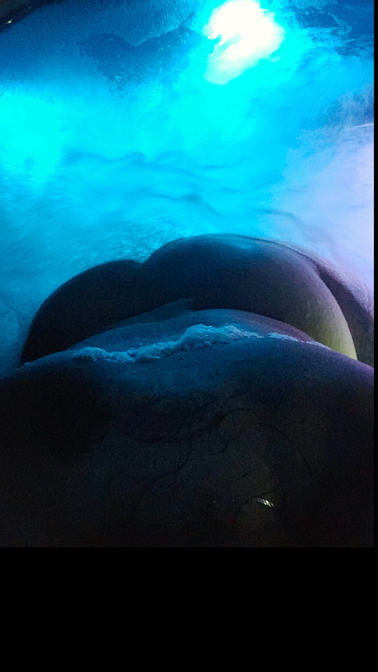 Holly Vicious cover image