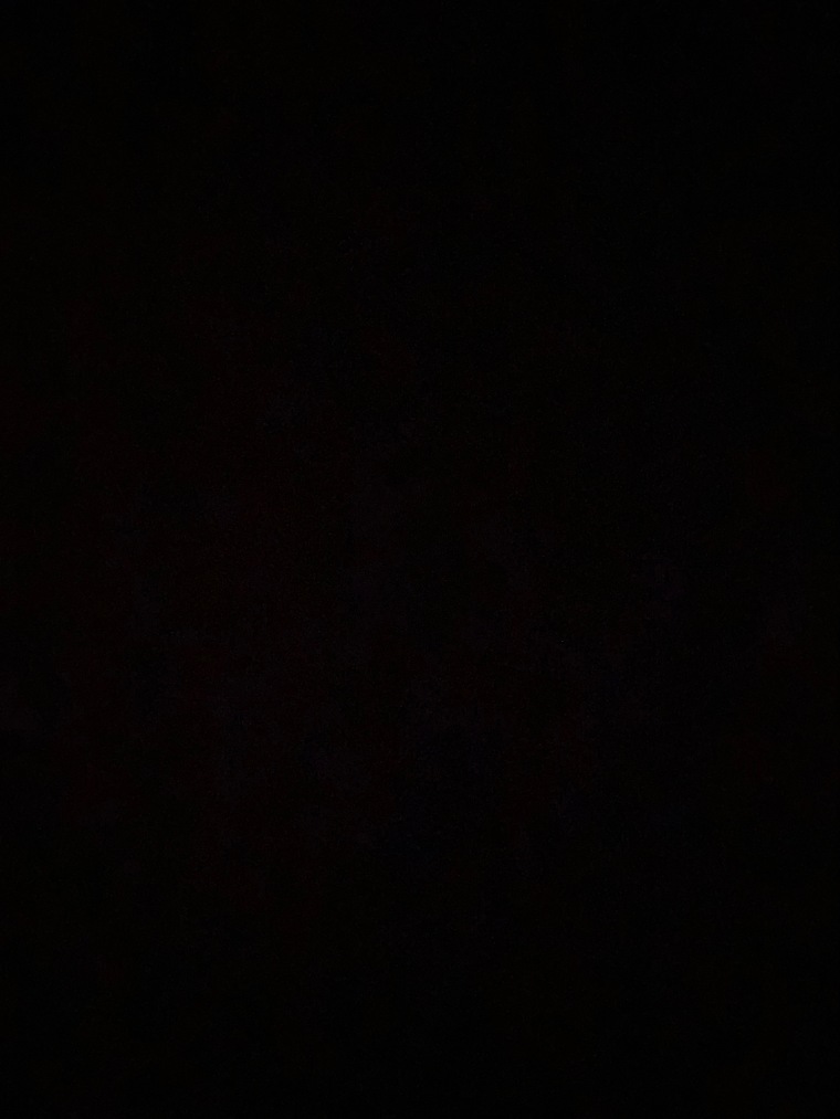 Lisa Sweet banner image