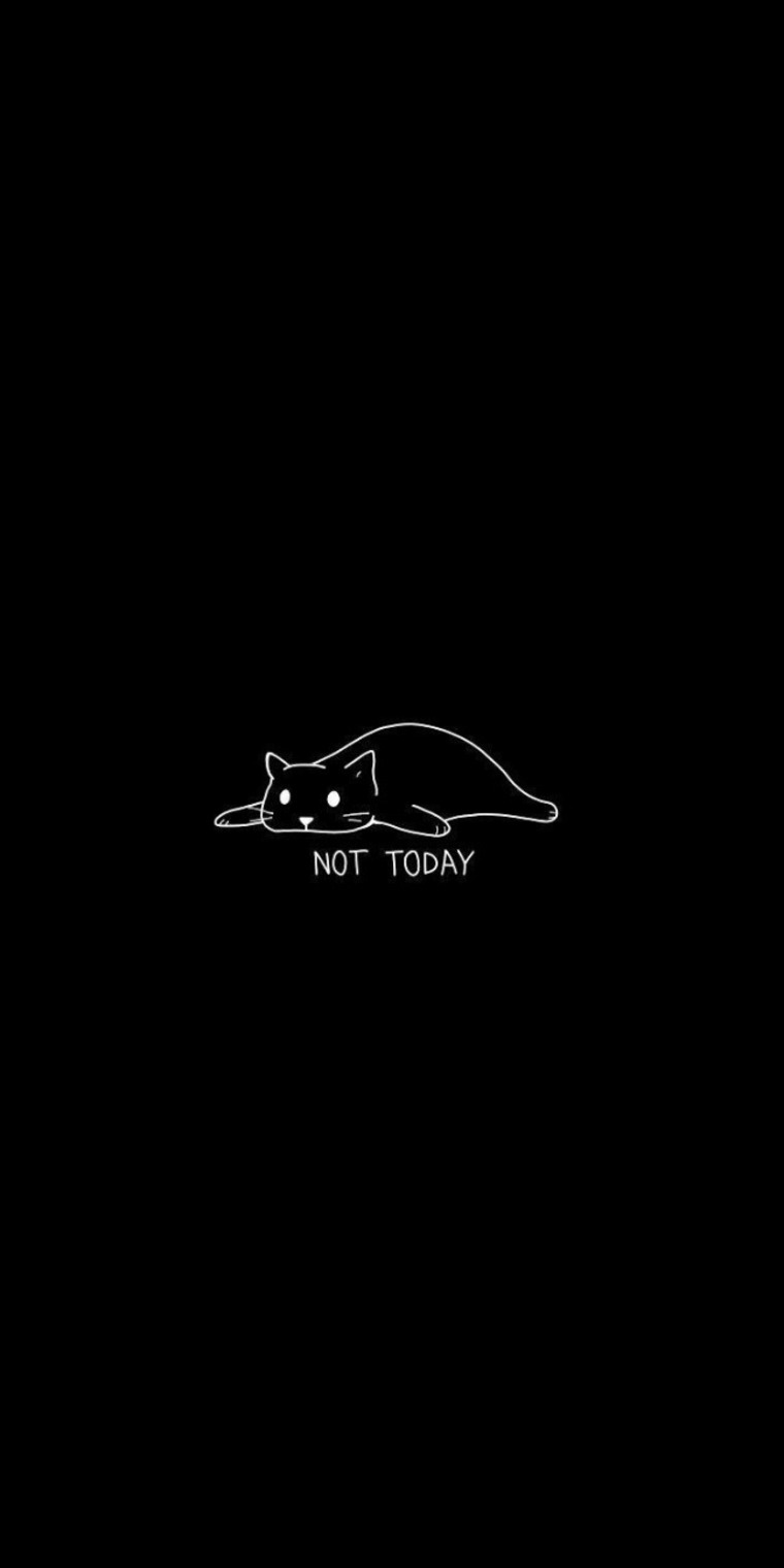 sweet neko feet cover image