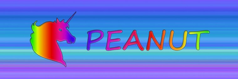 🦄Peanut🦄 cover image