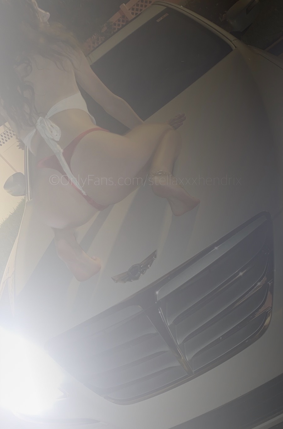 Stella𤤠banner image