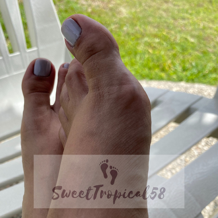 Sweet Tropical banner image