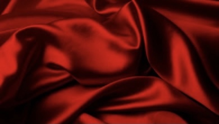 lina cover image