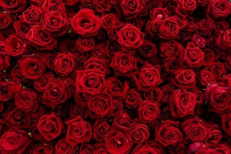 swet_bambina cover image