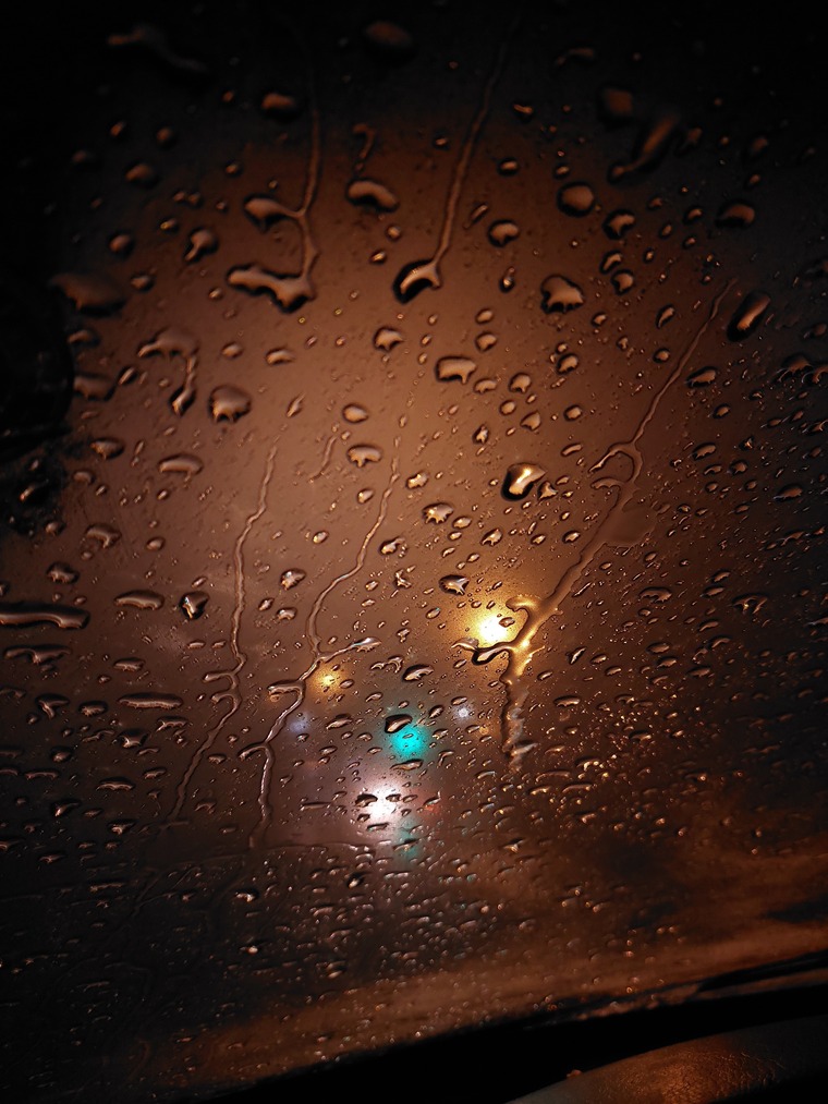 Swflorescr cover image