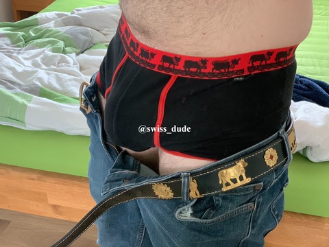 Swiss Dude cover image