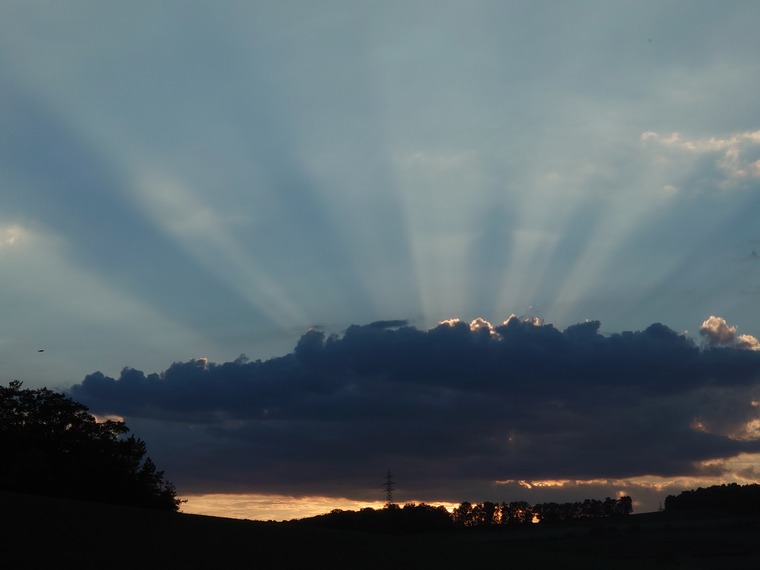 zeigegerne banner image