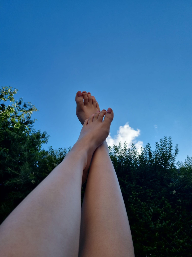 SwissFeet2003 cover image